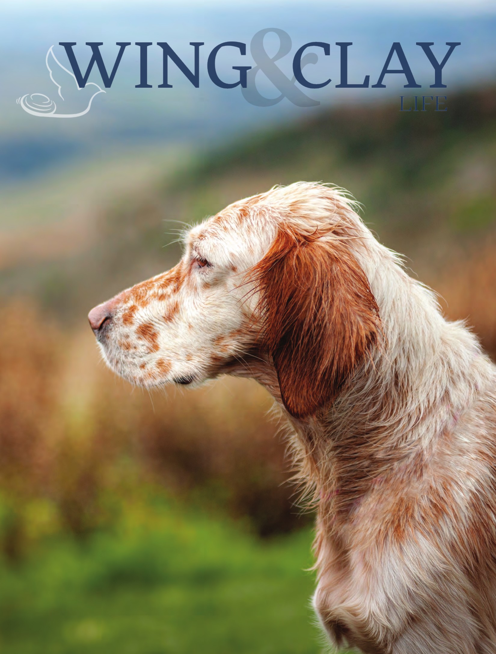 Journal 15: The Glorious Twelfth cover